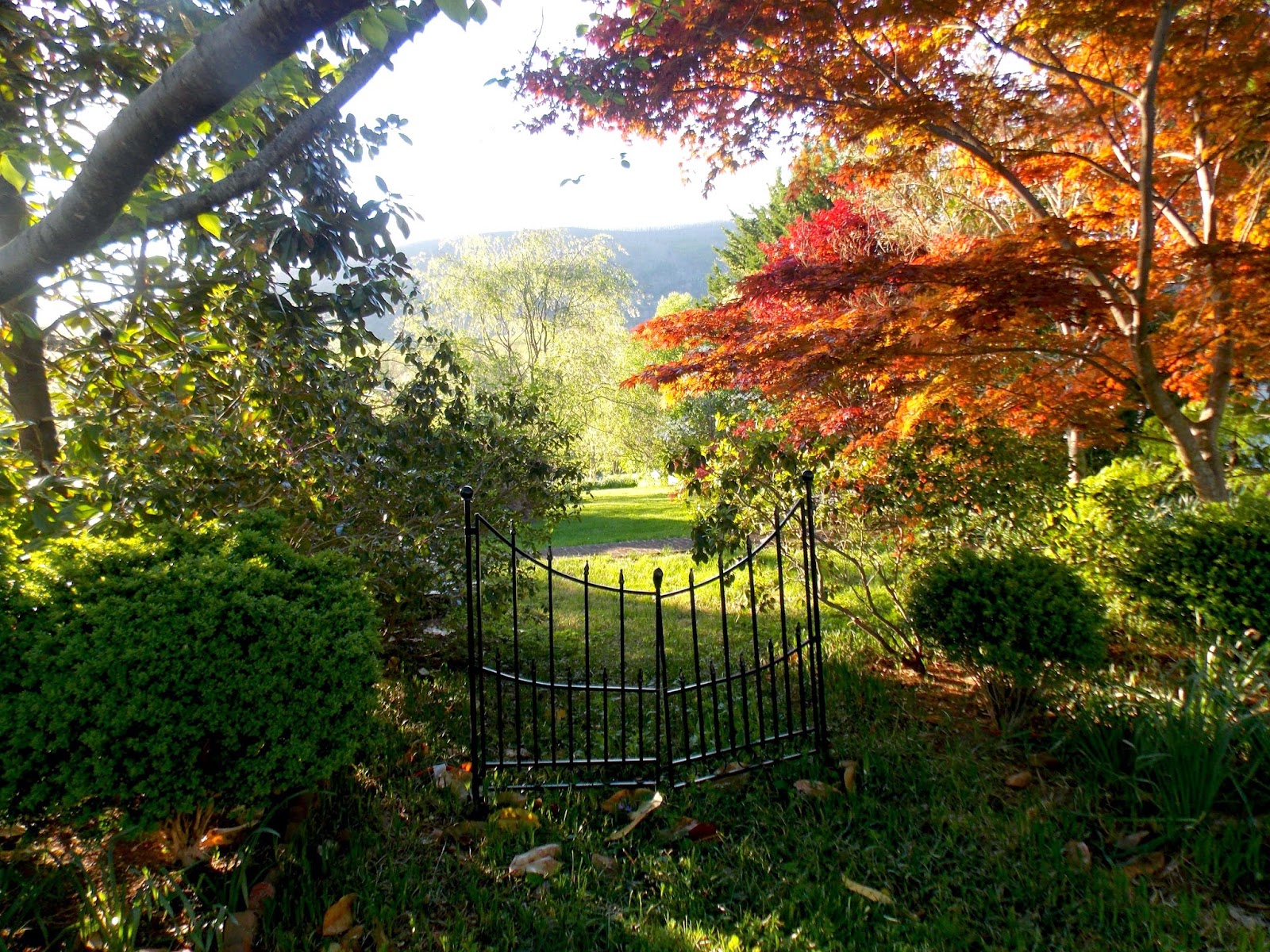 Rowan Top - Secret Garden