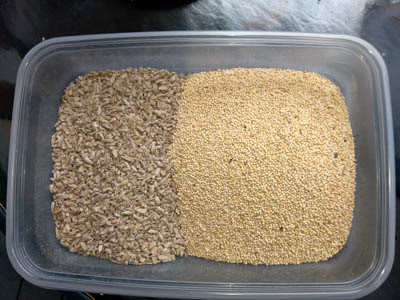 Photo of bulk bird seed Photo of bulk bird seed