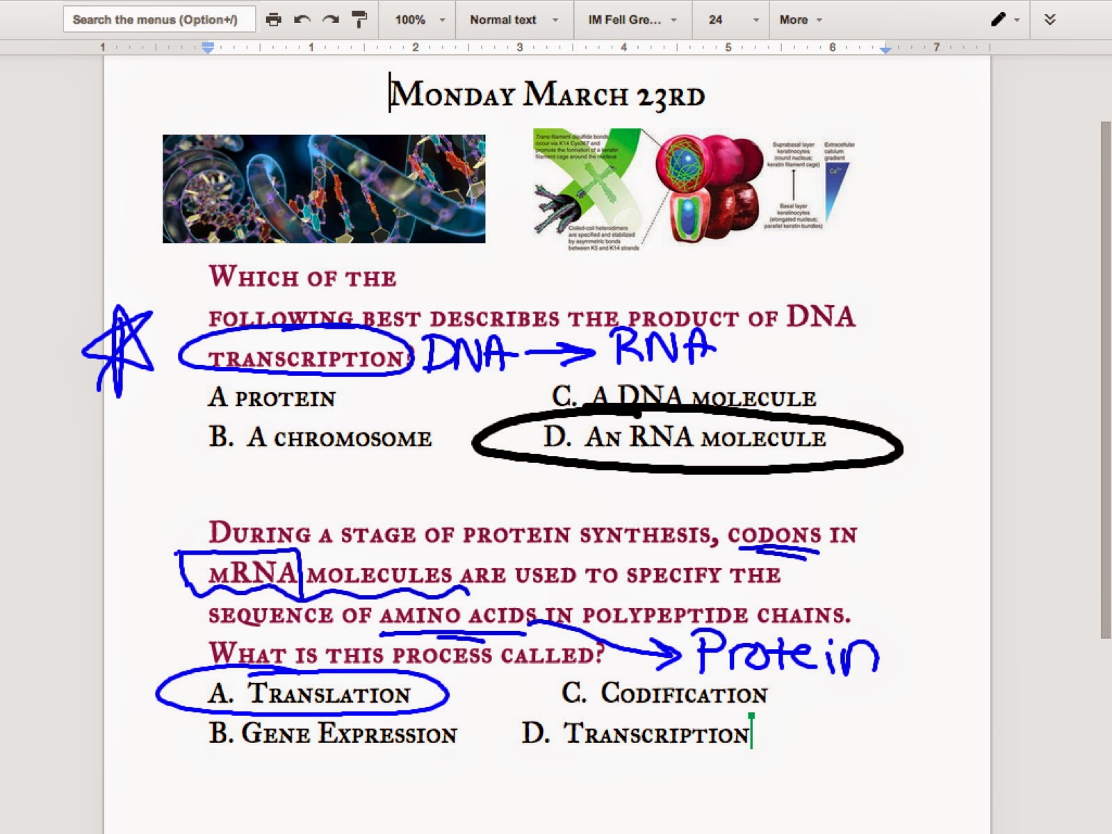 EC Honors Biology protein synthesis introduction
