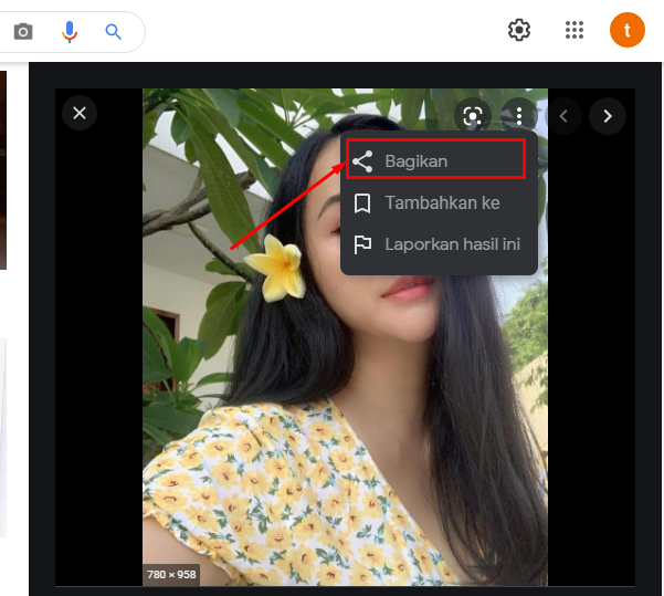 Cara Mencari Gambar yang Sama (Mirip) di Internet - Blogger Toraja