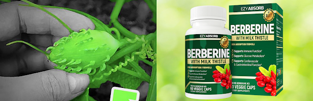 “My Blood Sugar Stabilized… Thanks To This Herb!”