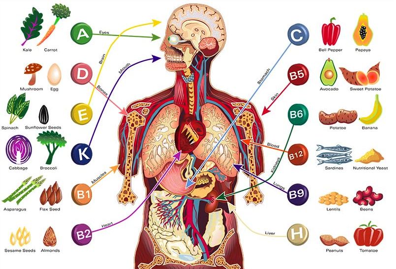 Vitamins and Supplements Reviews