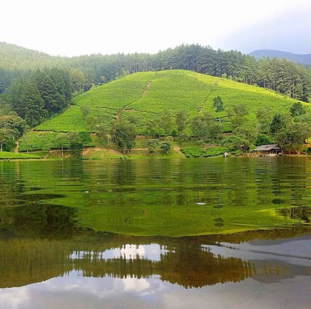 රන් සෙම්බුවක් මතු වූ - සෙම්බුවත්ත 🌲🏺🌱 (Sembuwatta Lake 🍀) - Your Choice Way