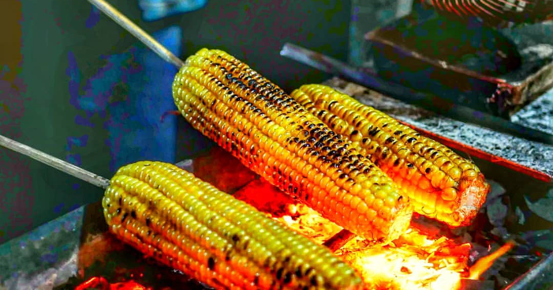 Bisnis Jagung Bakar dan Analisa Usahanya - Anginbisniss.com