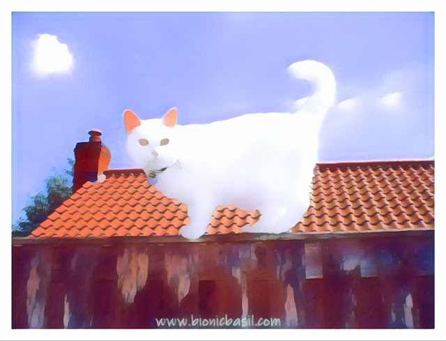 Angel Snowie's Fluffy Cloud Selfie ©BionicBasil® Caturday Art