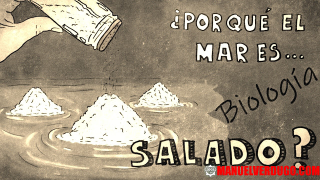 Razón por la que el agua de mar es salada