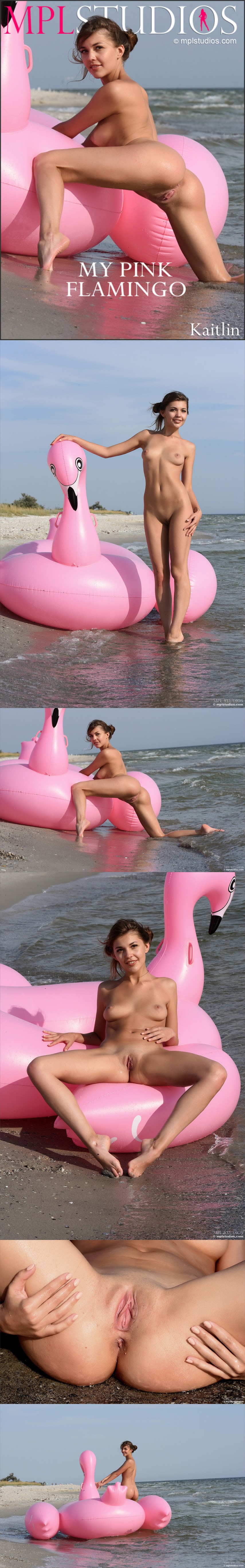MPLS__20180727_Kaitlin_-_My_pink_flamingo.zip-jk- MPLS  20180727 Kaitlin - My pink flamingo