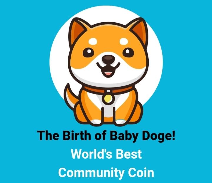 Coinmarketcap baby dogecoin