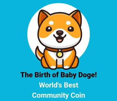 Mengetahui Alamat Contracts Baby Doge Coin