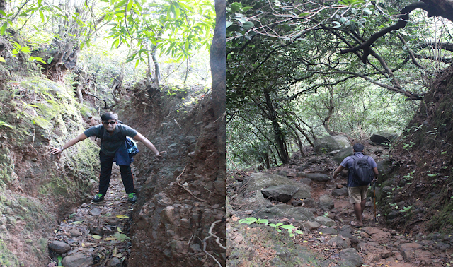 HARISHCHANDRAGAD FORT, JUNGLE ROUTE