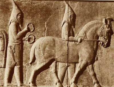 Resultado de imagem para domesticação do cavalo