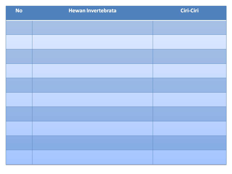 BELAJAR KLASIFIKASI HEWAN INVERTEBRATA MODEL DISCOVERY