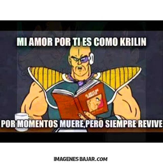 Imágenes Chistosas Dragon Ball Graciosas