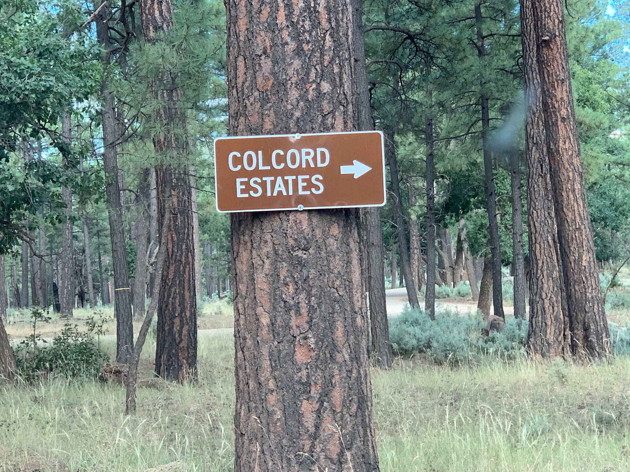 Arizona Rails, Ruins, and Trails