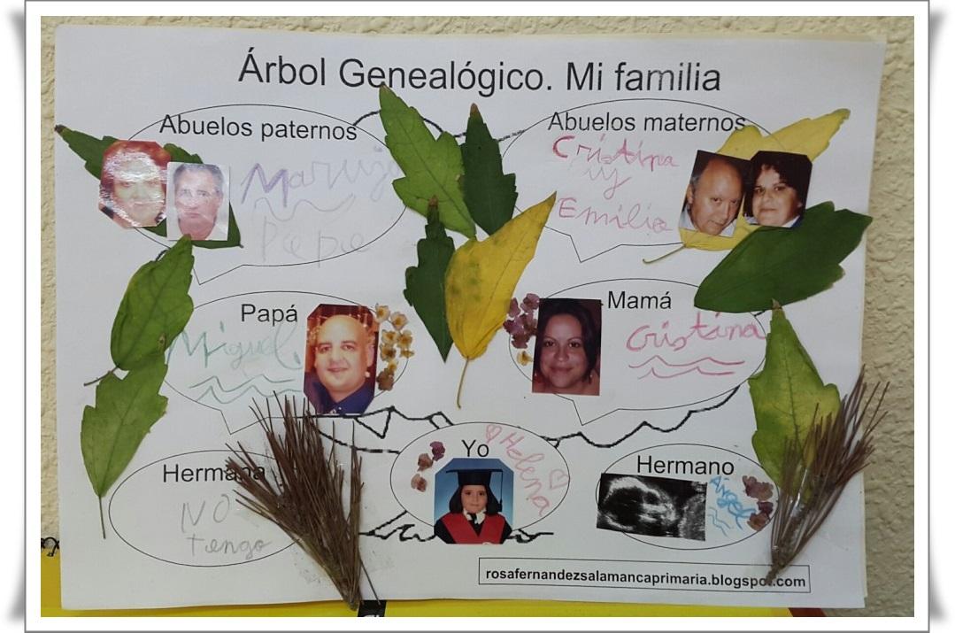 Menstruación Blanco Desplazamiento Maestra de Primaria: Árbol genealógico. Mi familia. Primero de Primaria.