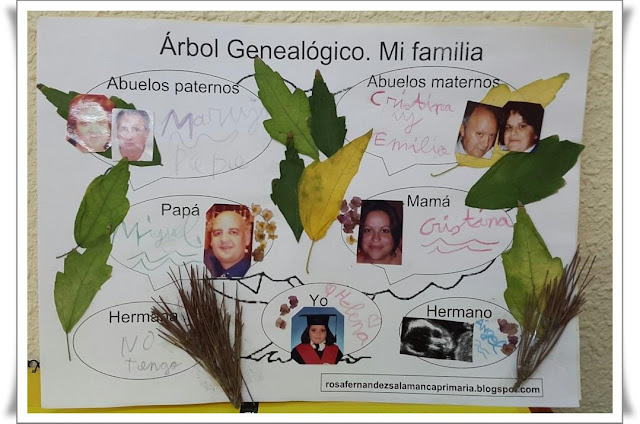 Árbol genealógico  Educación Primaria 