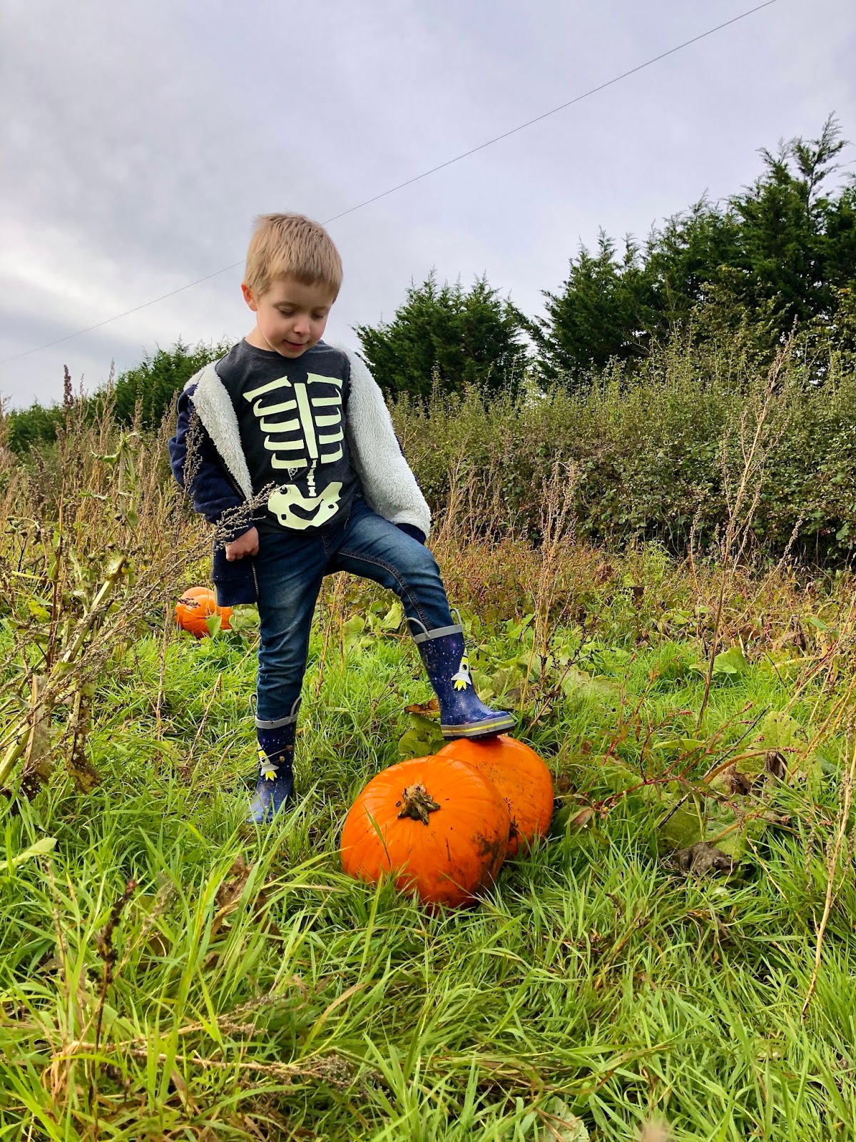 That Liz & Those Boys A Family and Lifestyle Blog Pumpkin Picking at