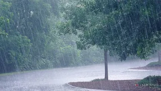 صور مطر, كلام عن المطر, مطر, صور, rain