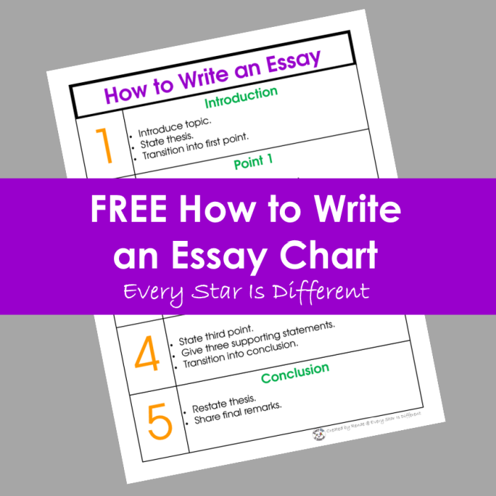 how to introduce an essay