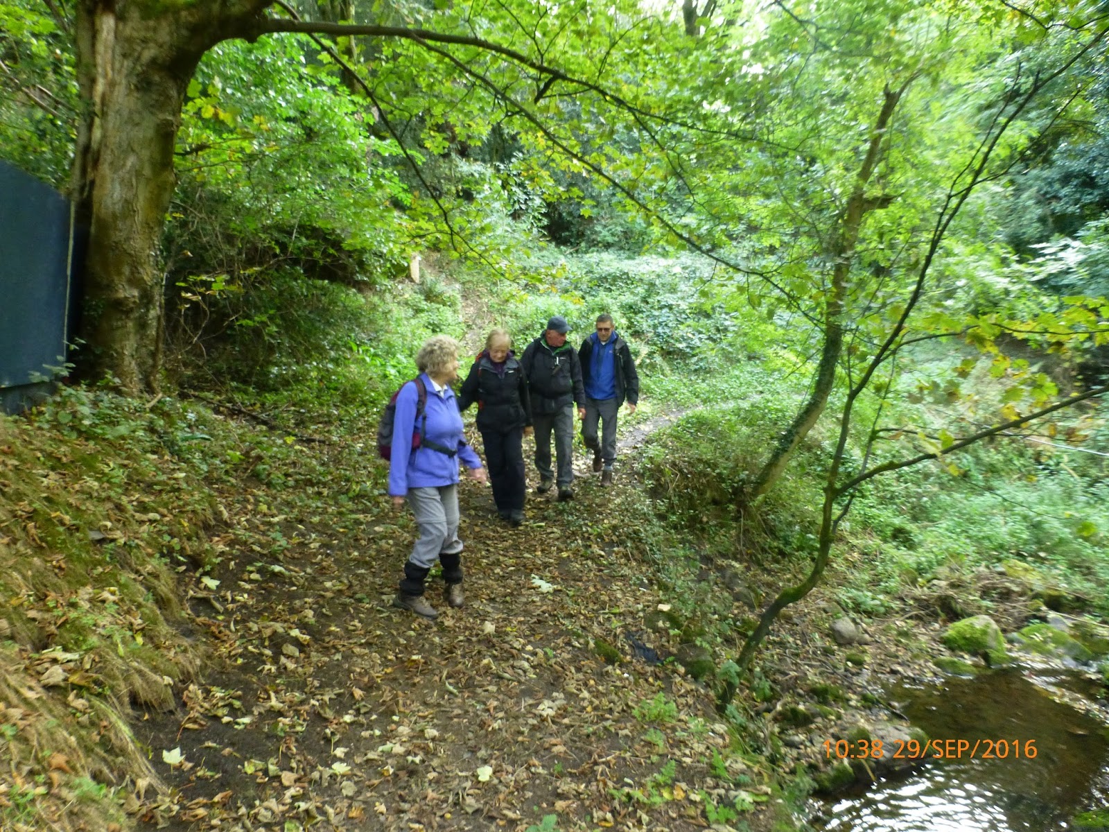 Harris Hikers Newtown Mountain Forest, Caellwyd and Ty Mawr