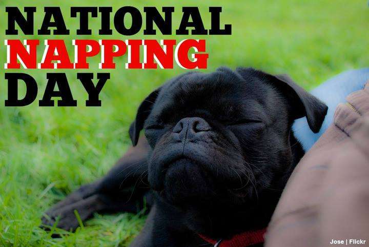 National Napping Day Wishes pics free download
