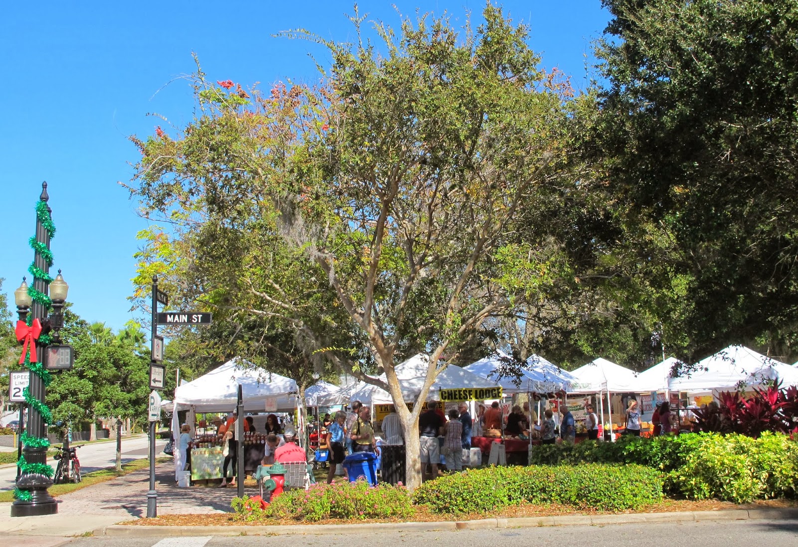 tortues de floride nourriture