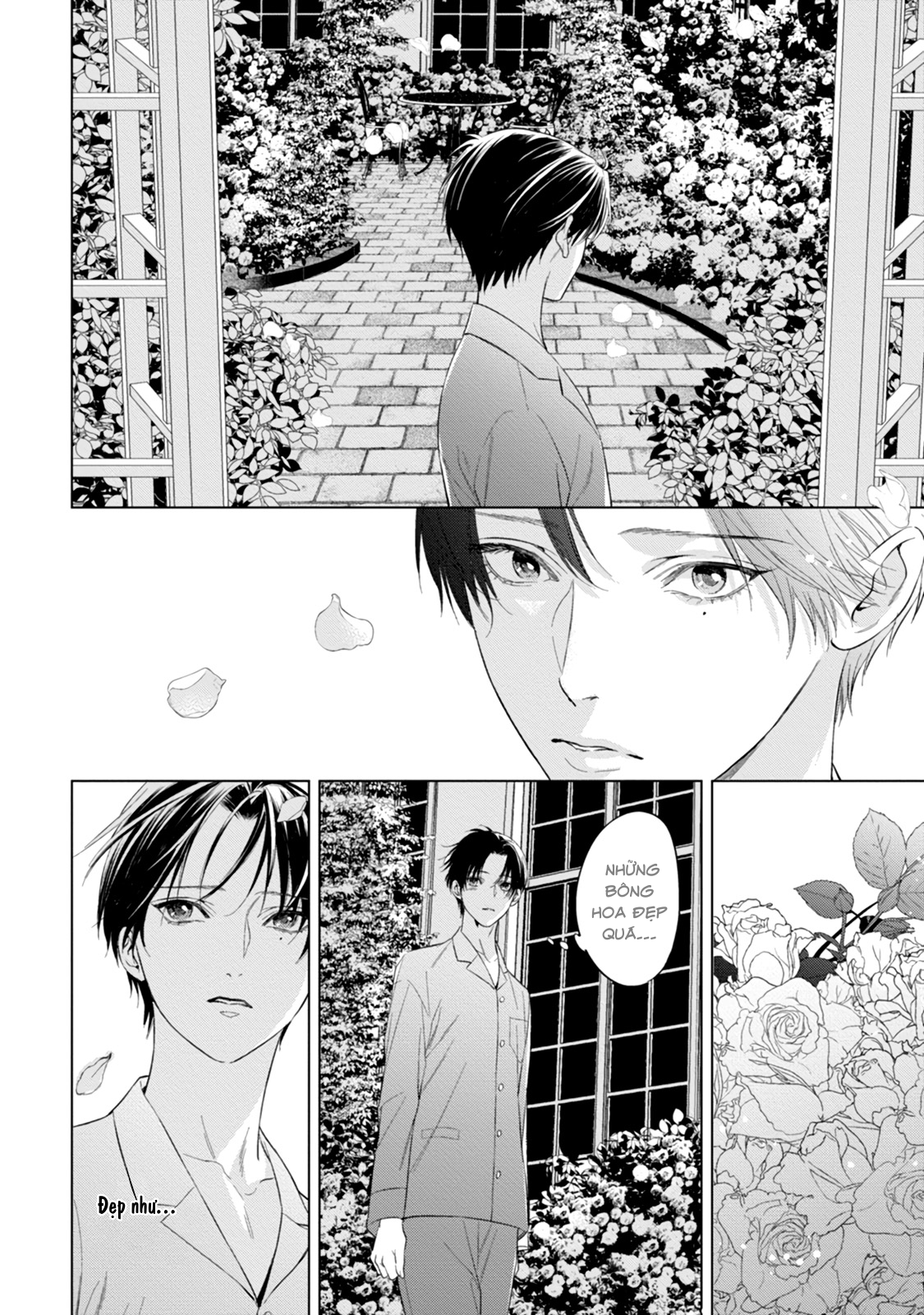 Đọc truyện Cô Dâu Của Alpha - Chapter 9