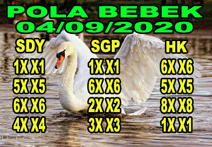 Syair SDY Forum Kode Syair Sydney Hari ini Hasil