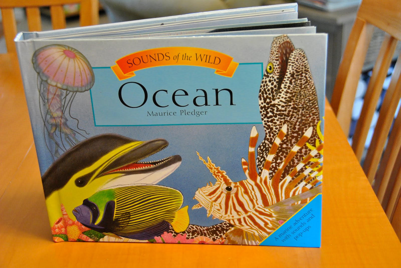 steffenately blessed: Ocean lesson