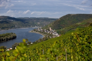 Hubers Unterwegs Von Mainstockheim Zur Mainschlinge Nach Nordheim