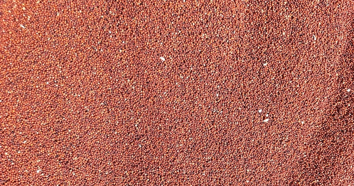 know about kannada and Karnataka Cereals and grains in kannada and