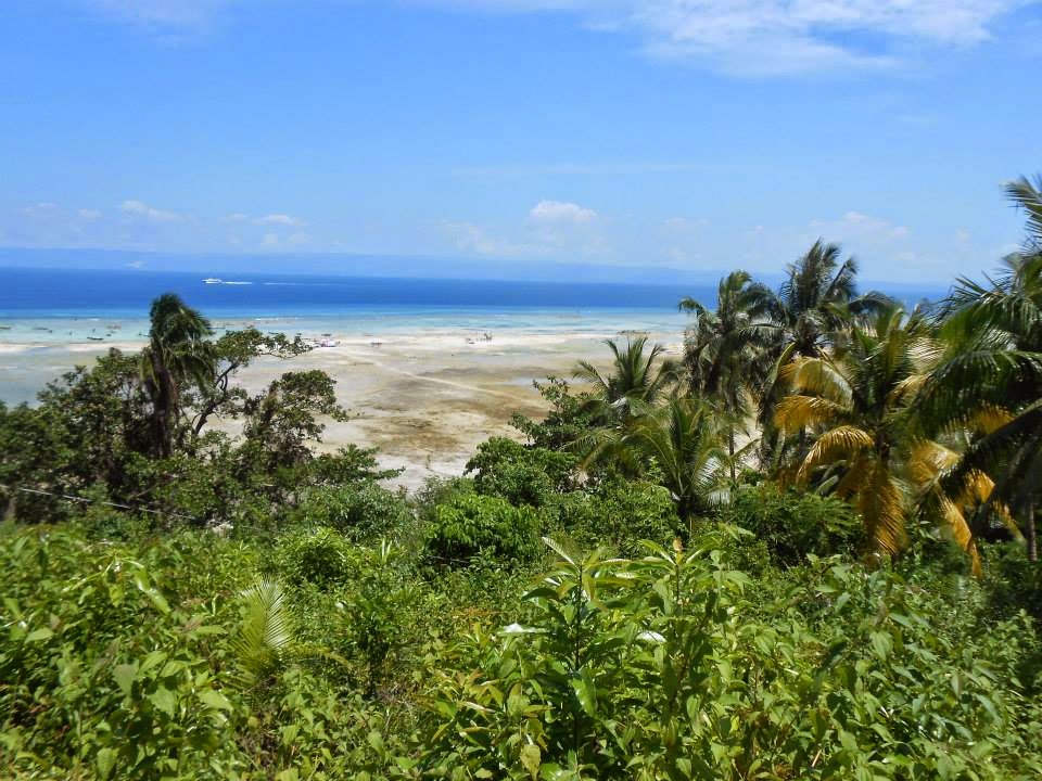 Bohol Lot for Sale Properties Beach Lot for Sale in Cuasi Loon Bohol