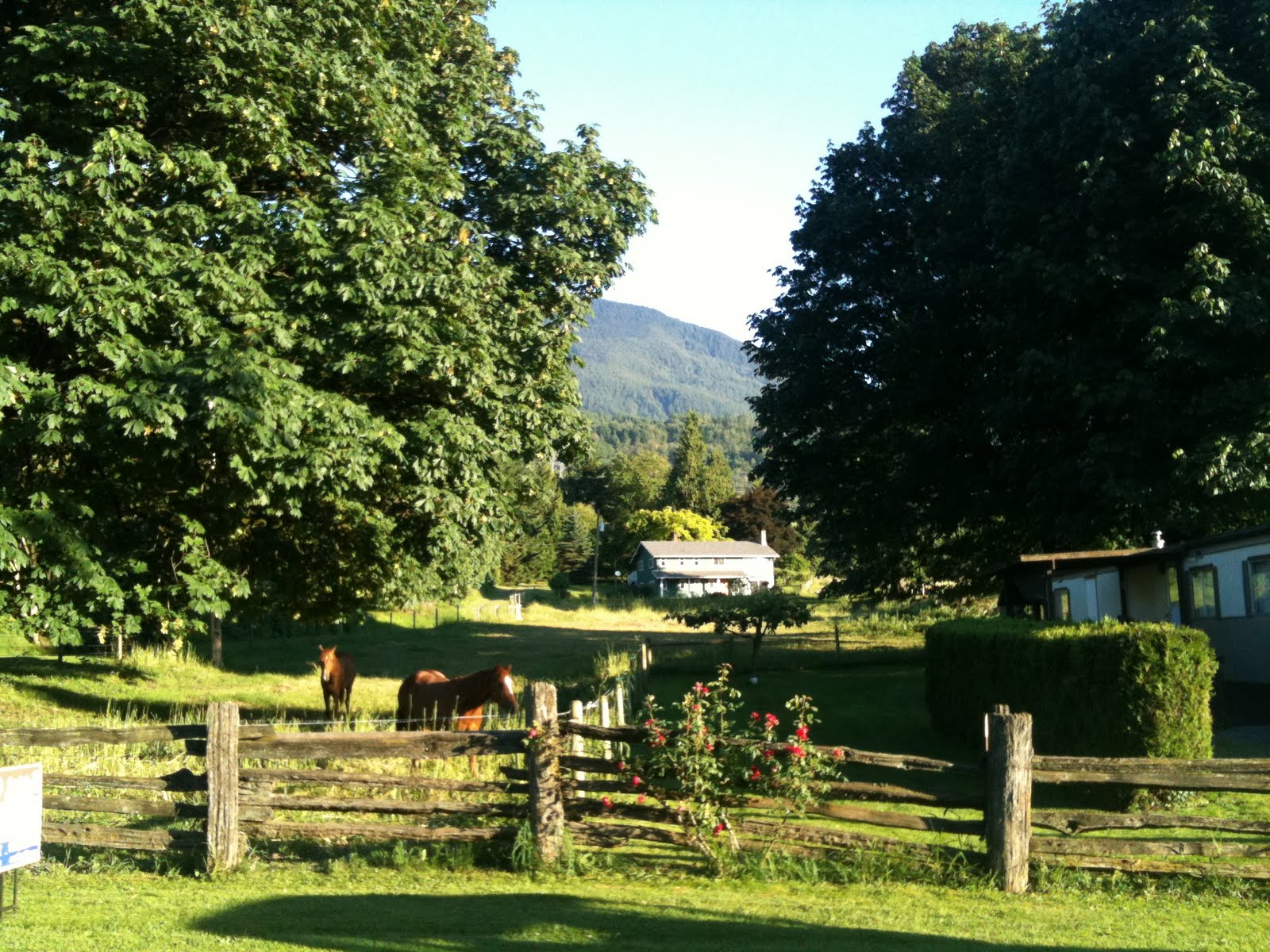 2 Acre Chilliwack (Rosedale) Hobby Farm Estate For Sale