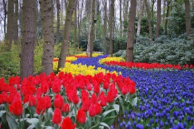 Gardens Inspired: Plant bulbs to add rich color to your garden