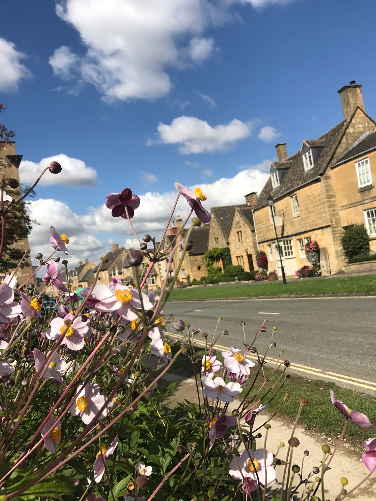 Travel Little Cotswold Cottage and Summer in The Cotswolds Roses