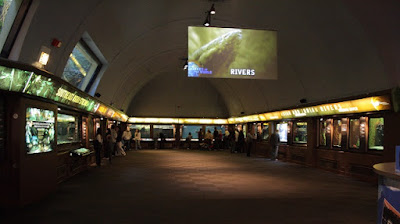 Hall Shedd Aquarium