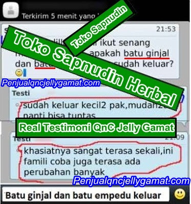 QnC Jelly Gamat Murah Dan Asli QnC Jelly Gamat Murah Dan Asli