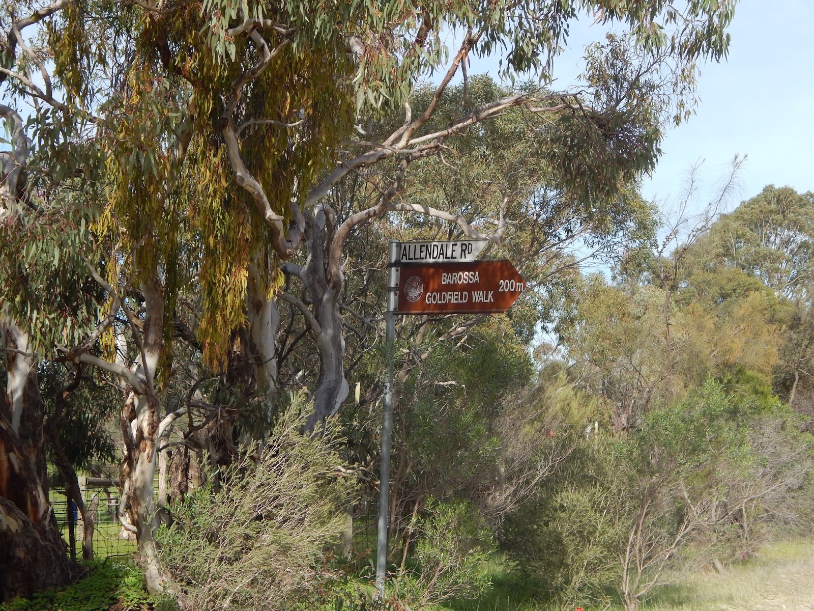Travelling Around The Whispering Wall and Goldfields