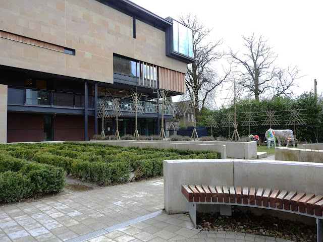 Outside seating area of the library