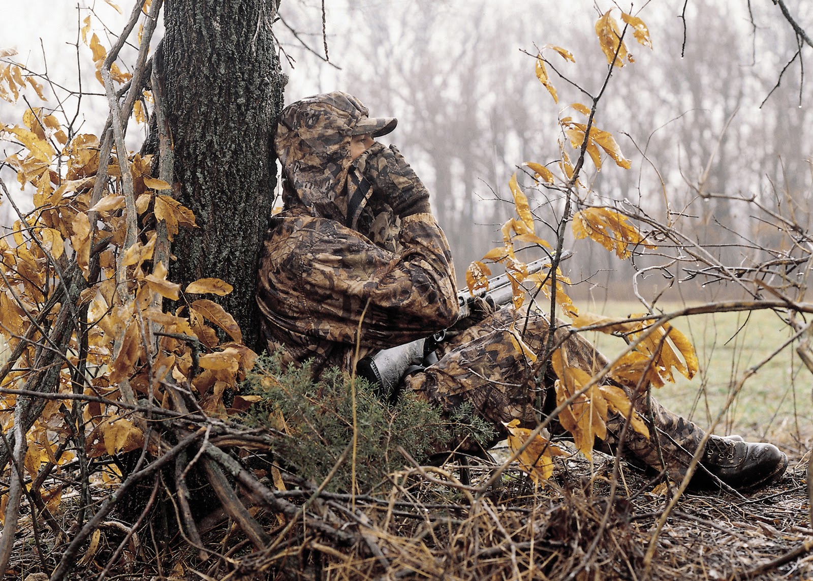outdoorscribe: Fall turkey season underway; some hunters use bows