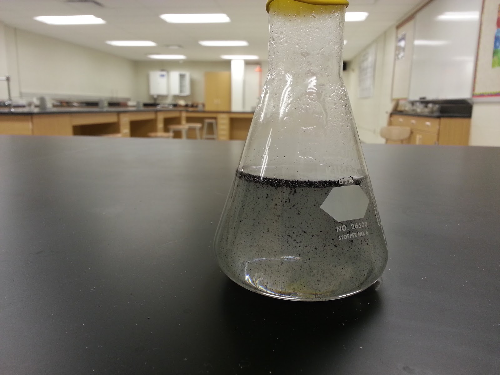 Schneider Science Zinc & Hydrochloric Acid