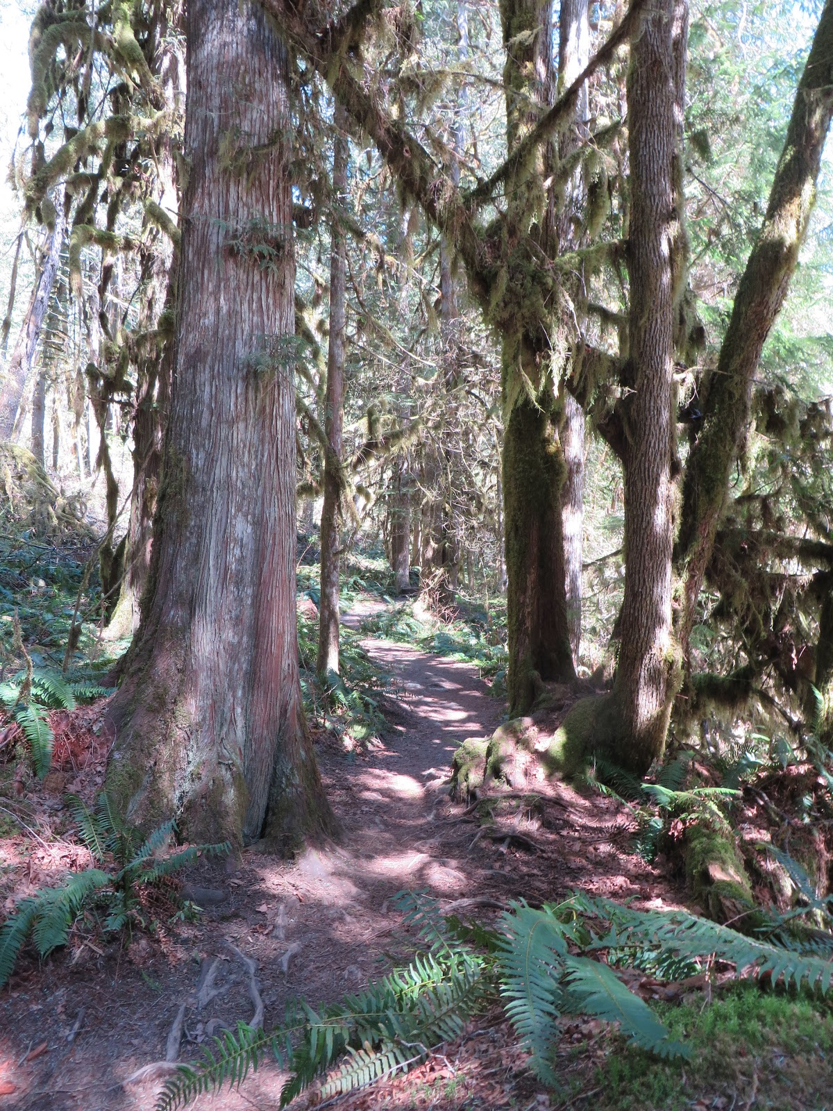 Exploring County & Beyond Horseshoe Bend Trail