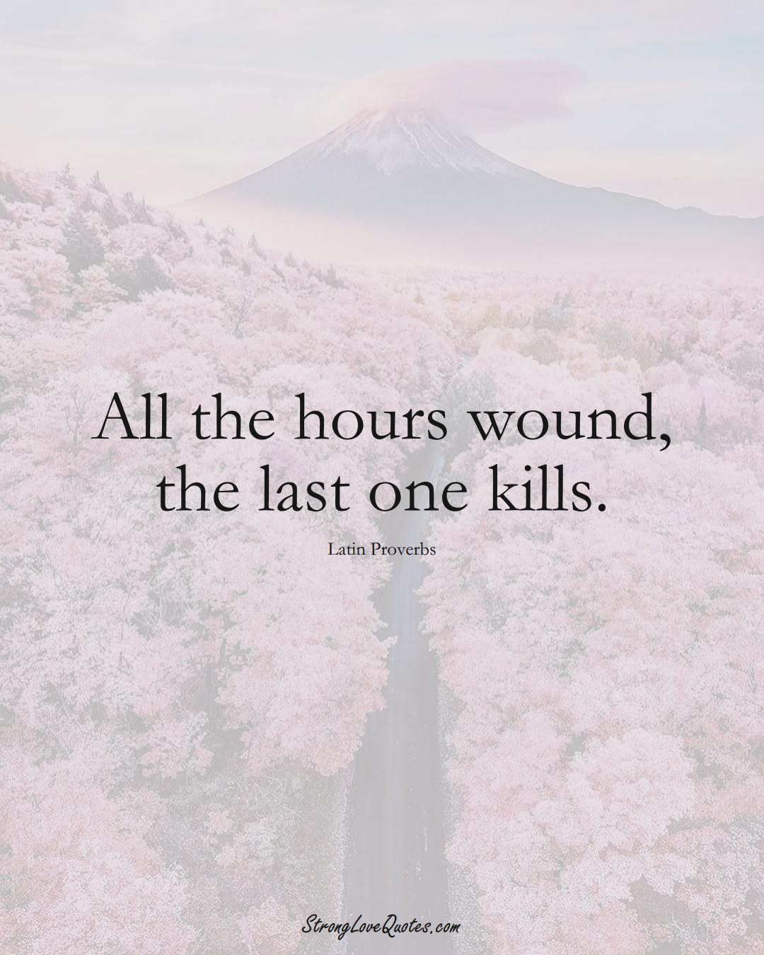 All the hours wound, the last one kills. (Latin Sayings);  #aVarietyofCulturesSayings