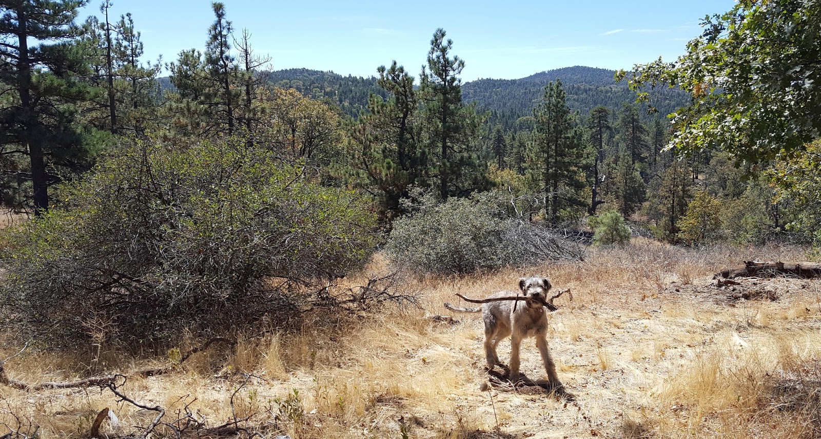 Armchair Hiker San Diego Los Huecos Rd Laguna Mountain San Diego