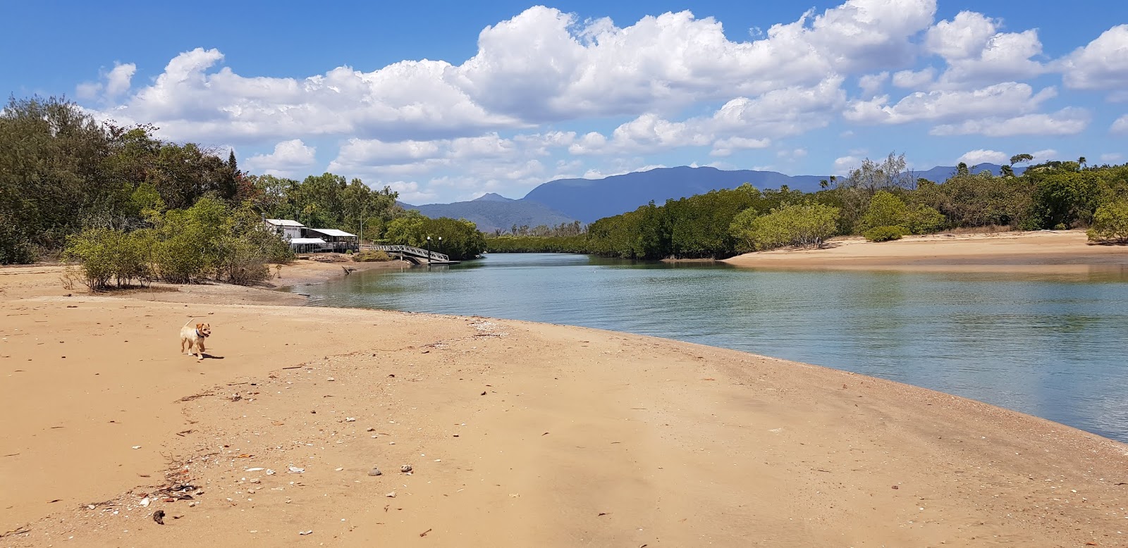 OZ gran in a van TOWNSVILLE, ROLLINGSTONE, BALGAL BEACH & TOOMULLA BEACH
