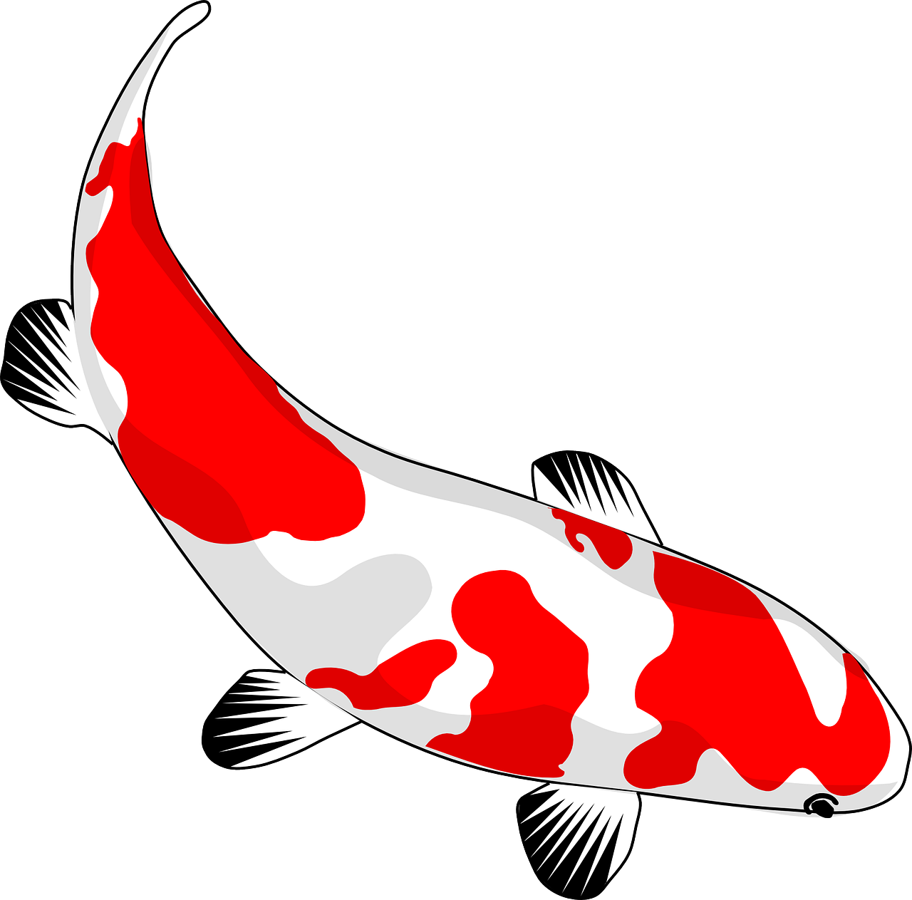 low-ph-koi-pond-testing.png