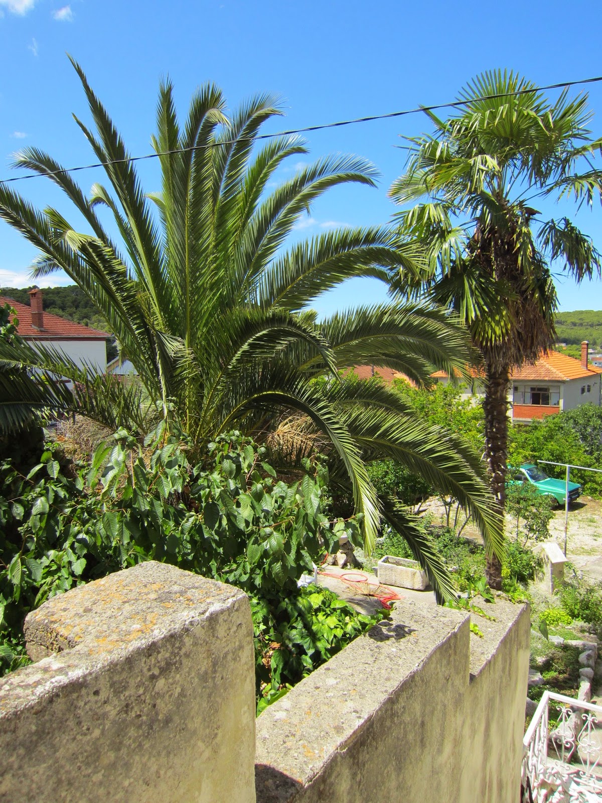 Eye Say In Spanish Manchas Flotantes Floaters