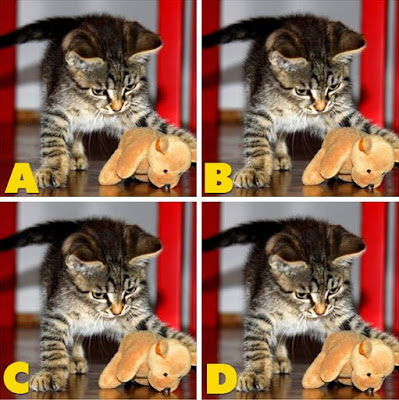 Which image is different? image 30