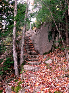 Dorr Mountain, Acadia National Park (fall foliage)