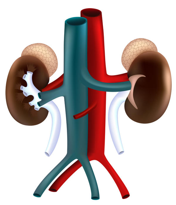 treatment for kidney disease The water can prevent kidney stone